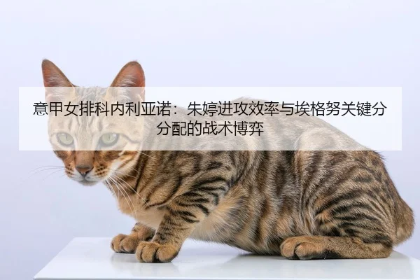 yi-jia-nv-pai-ke-nei-li-ya-nuo-zhu-ting-jin-gong-xiao-lv-yu-ai-ge-nu-guan-jian-fen-fen-pei-de-zhan-shu-bo-yi-2-208.jpg