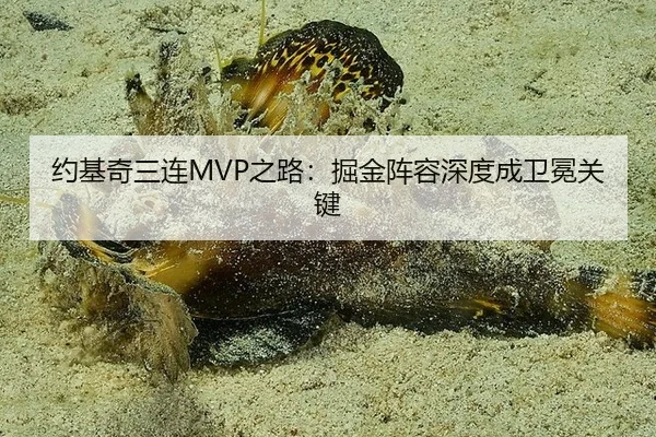 约基奇三连MVP之路：掘金阵容深度成卫冕关键