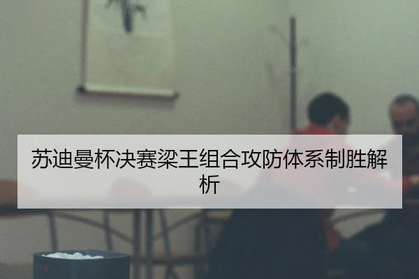su-di-man-bei-jue-sai-liang-wang-zu-he-gong-fang-ti-xi-zhi-sheng-jie-xi-2-779.jpg