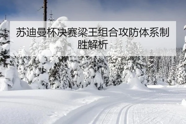 苏迪曼杯决赛梁王组合攻防体系制胜解析